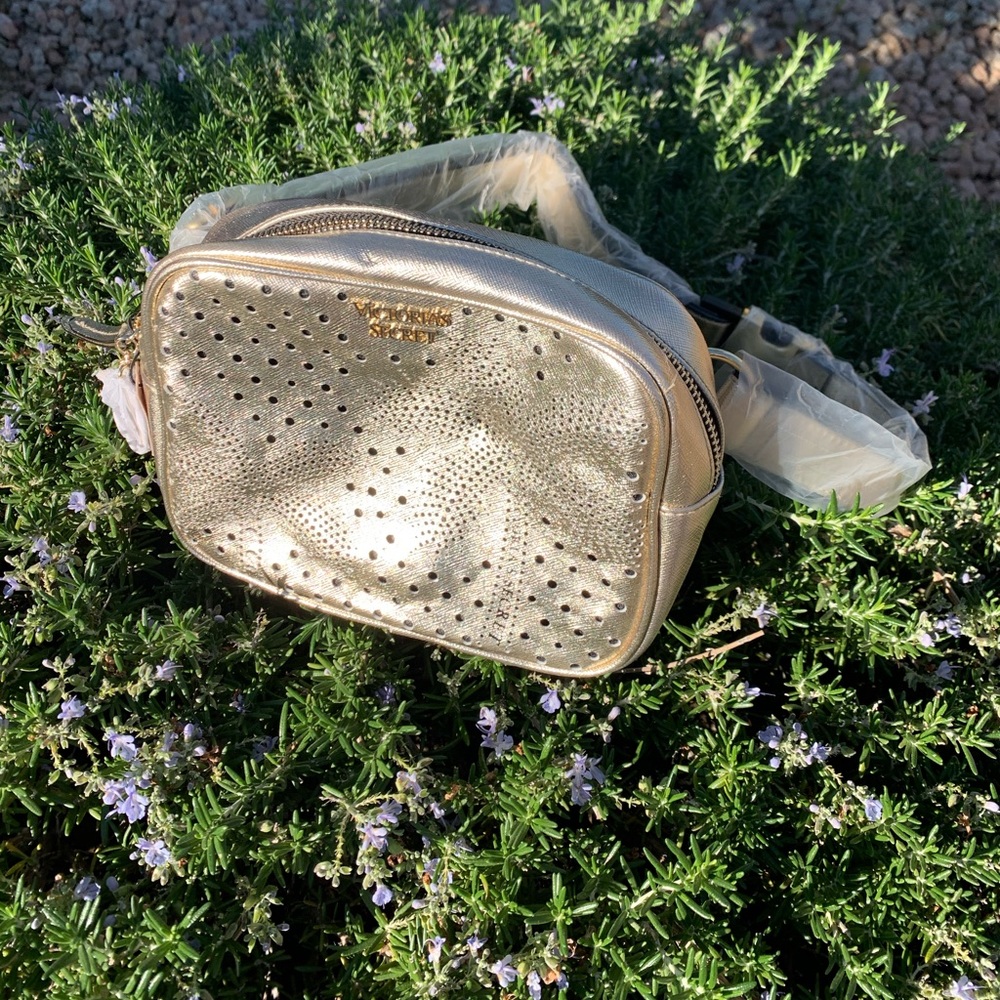 💕Victoria secret ***NWT*** Waist bag💕